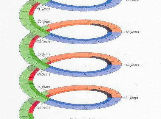 Cicluri evolutive